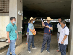 省市鎮(zhèn)聯(lián)合執(zhí)法，東莞嚴查環(huán)境違法行為